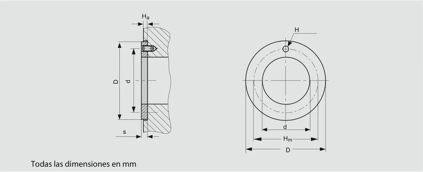 Dibujo técnico de la arandela DU montada y de frente: diámetro externo D, diámetro interno d, espesor s, agujero H, diámetro PCD Hm y espesor Ha.